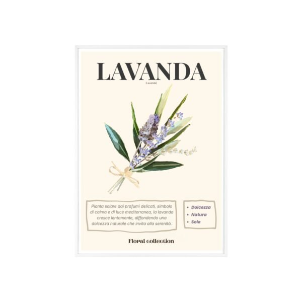 affiche lavanda