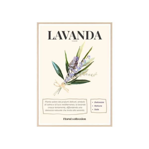 affiche lavanda