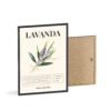 affiche lavanda