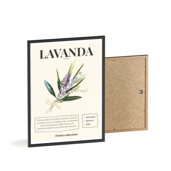 affiche lavanda