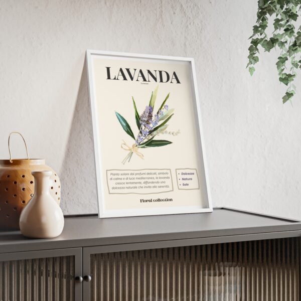 affiche lavanda