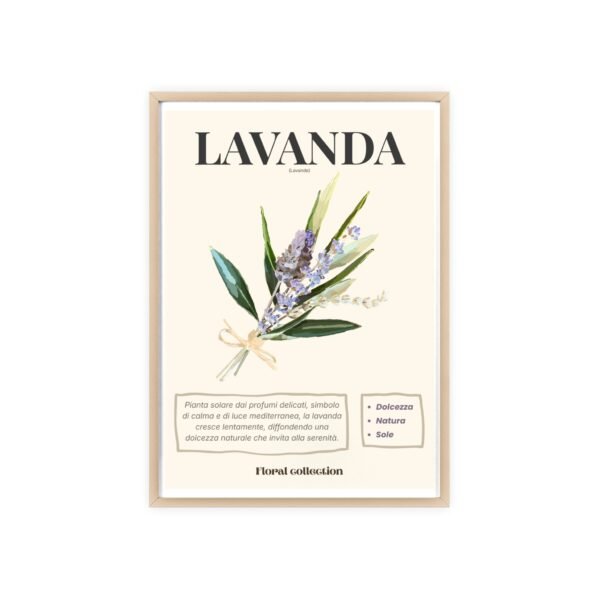 affiche lavanda