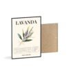 affiche lavanda