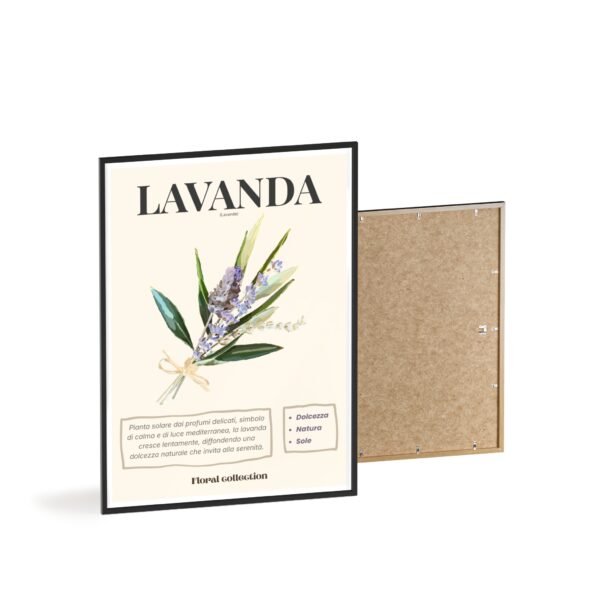 affiche lavanda