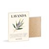 affiche lavanda