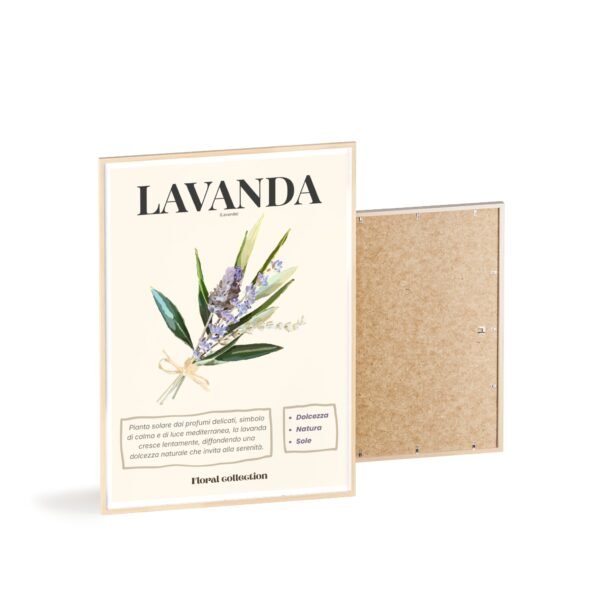 affiche lavanda