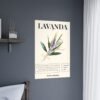affiche matt lavanda affiche matt lavanda