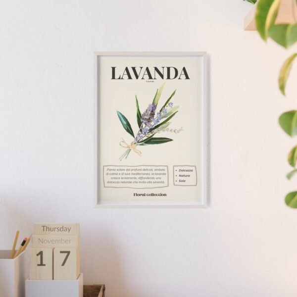 affiche lavanda