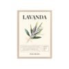 affiche lavanda