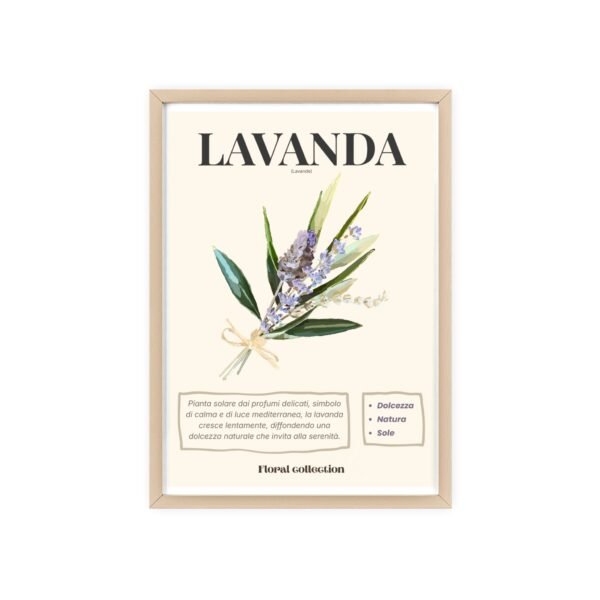 affiche lavanda