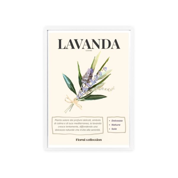 affiche lavanda