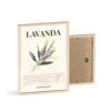 affiche lavanda