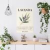 affiche matt lavanda affiche matt lavanda