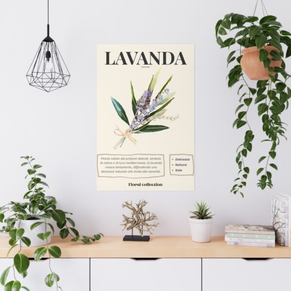 affiche matt lavanda affiche matt lavanda