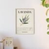 affiche lavanda