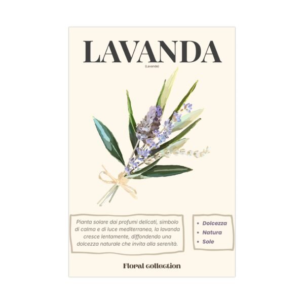 affiche matt lavanda affiche matt lavanda