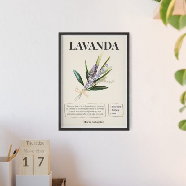 affiche lavanda