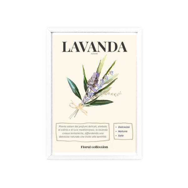 affiche lavanda