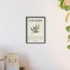 affiche lavanda