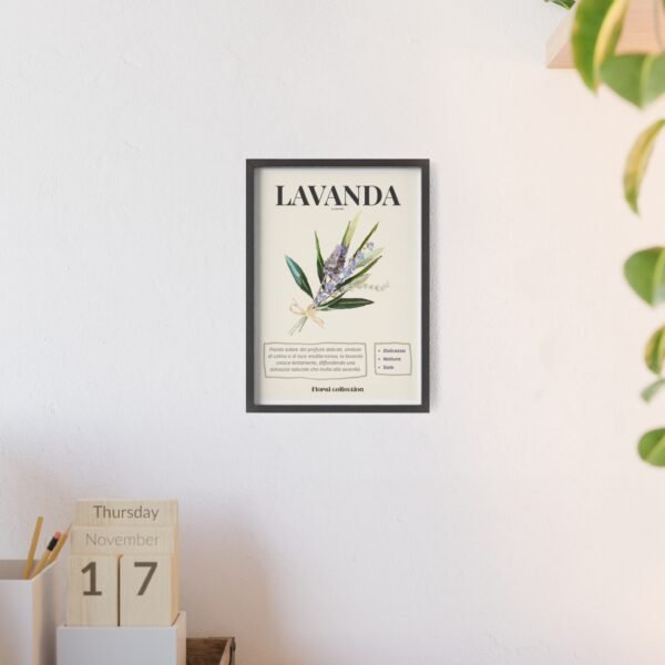 affiche lavanda