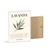 affiche lavanda