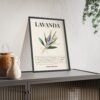 affiche lavanda