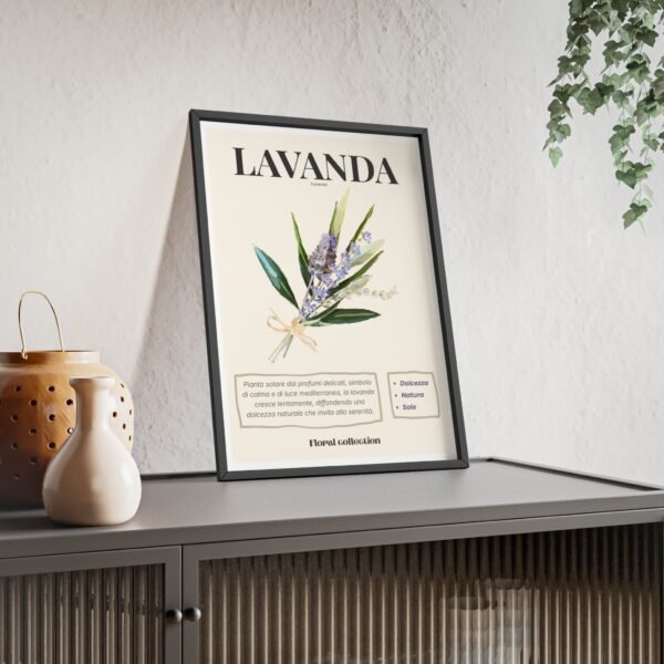 affiche lavanda