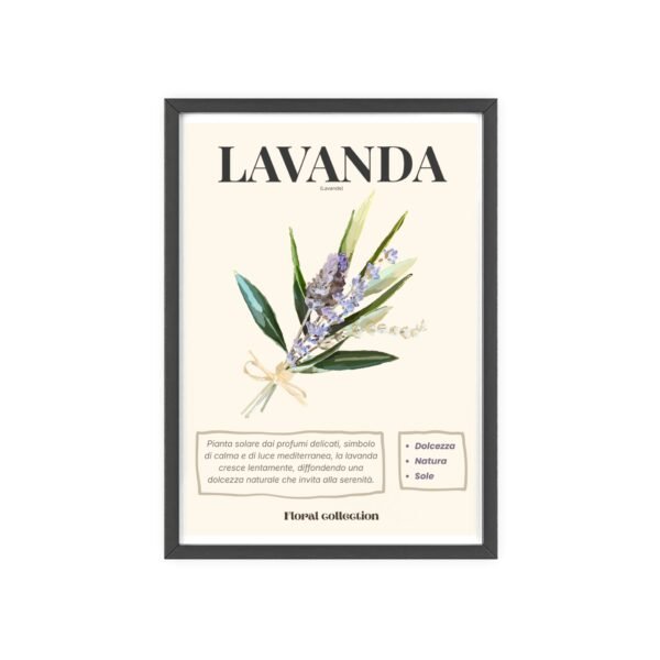 affiche lavanda