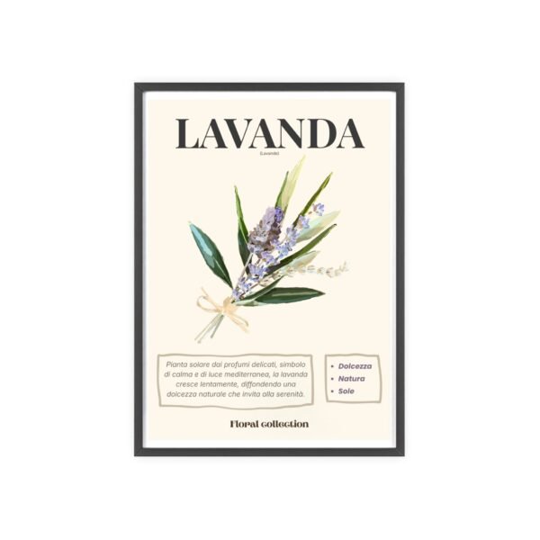 affiche lavanda