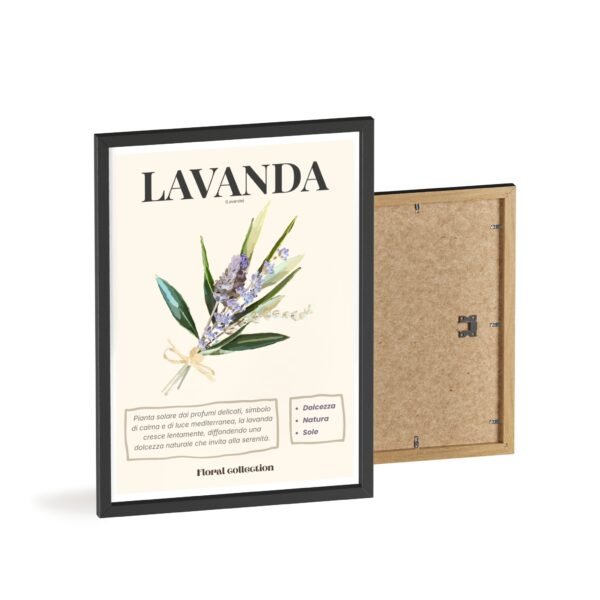 affiche lavanda