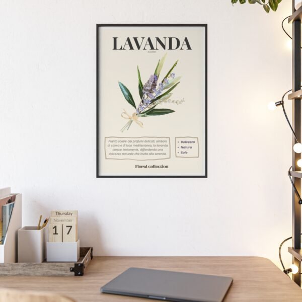 affiche lavanda