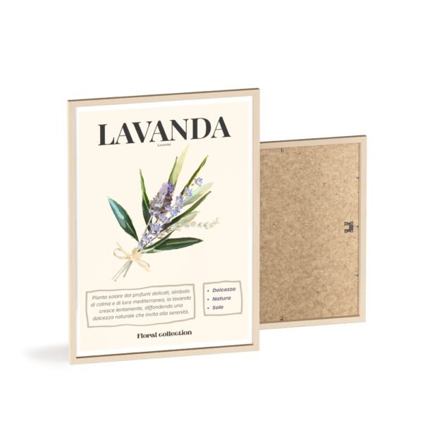 affiche lavanda